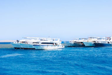 Mısır 'ın Hurghada şehrinde 2025 Ağustos' unda mavi denize demirlemiş lüks yatlar..