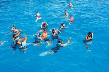 Hürghada, Mısır 'da açık Kızıldeniz' de şnorkelle yüzen grup, Ağustos 2025.