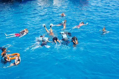 Hürghada, Mısır 'da açık Kızıldeniz' de şnorkelle yüzen grup, Ağustos 2025.