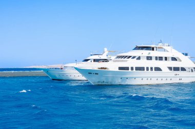 Lüks yatlar açık denizde yüzüyor..