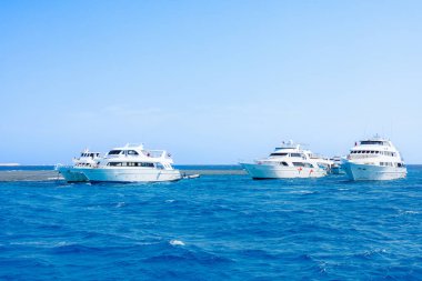 Kızıl Deniz 'de demirli lüks yatlar.