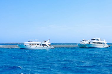 Açık denizde yelken açan üç yat.