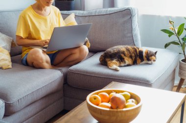 Uyuyan kedi evcil hayvanıyla gri koltukta oturan bir kadın dizüstü bilgisayarda çalışıyor. Modern iç mekanda yeşil bitkilerle dolu rahat bir çalışma alanı. Uzaktan kumandalı iş. Çevrimiçi eğitim ya da eğlence. Seçici odak