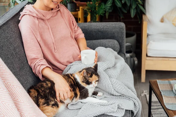 Close-up woman in a plaid drinking hot tea, petting a relaxed cat on the sofa at home. Cozy and comfortable winter or autumn weekends. Pleasant ways to keep warm. Take a break and relax.