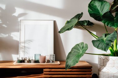 Modern minimalist İskandinav tarzı iç tasarımı beyaz poster modeli, mumlar ve tropikal yeşil ev bitkileri güneş ışığı altında ve gri bir duvarda gölgeler. Seçici odak.