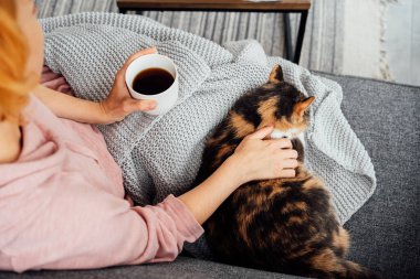 Close-up woman in a plaid drinking hot tea, petting a relaxed cat on the sofa at home. Cozy and comfortable winter or autumn weekends. Pleasant ways to keep warm. Take a break and relax.