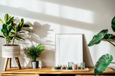 Modern minimalist İskandinav tarzı iç tasarımı beyaz poster modeli, mumlar ve tropikal yeşil ev bitkileri güneş ışığı altında ve gri bir duvarda gölgeler. Seçici odak.