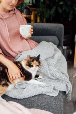 Ekoseli bir kadın sıcak çay içiyor evdeki kanepede rahat bir kediyi okşuyor. Sıcak ve rahat kış ya da sonbahar hafta sonları. Isınmak için güzel yollar. Biraz ara ver ve rahatla. Dikey kart