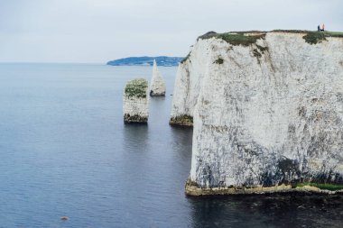 Denizin arka planında güzel beyaz kayalar. Kış kıyı şeridi manzarası. White Old Harry Rocks, İngiltere. Seyahat ve tatil yerleri. Seçici odak, boşluğu kopyala