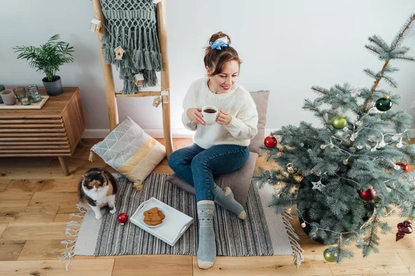 Young Woman in cosy sweater with cat pet, drinking hot tea, relaxing on floor cushions near potted christmas tree in modern Scandi interior home. Eco-friendly cozy winter holidays. Selective focus