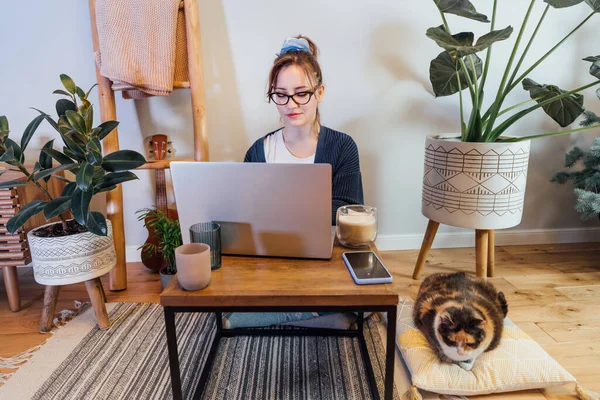 Mujer Usando Portátil Mientras Está Sentado Cojines Piso Con Gato — Foto de Stock
