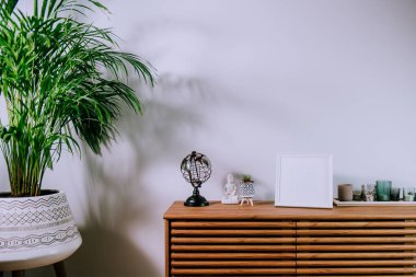 Ahşap bir dolapta duran dekoratif aksesuarları olan İskandinav evleri. Minimalist tasarım yeşil bitkilerle dolu odanın içinde ve kopyalama alanı olan beyaz duvarda. Biyofili tarzı.