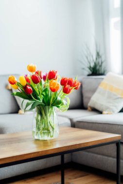 Sehpanın üzerinde gri kanepe, grafik yastıklar ve yeşil bitkilerle modern rahat oturma odasının bulanık arka planına sahip taze laleler vazosu. Açık uzay ev iç tasarımı. Boşluğu kopyala.