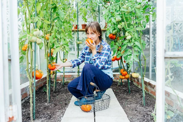 Young Woman Sniffing Just Picked Ripe Red Beef Tomato Green — Foto de Stock