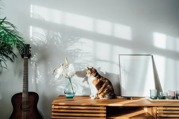 stock image Modern minimalist style interior with white poster mockup, candles, lily flowers in vase and relaxed cat on a wooden console under sunlight and home plants shadows on a gray wall. Selective focus.