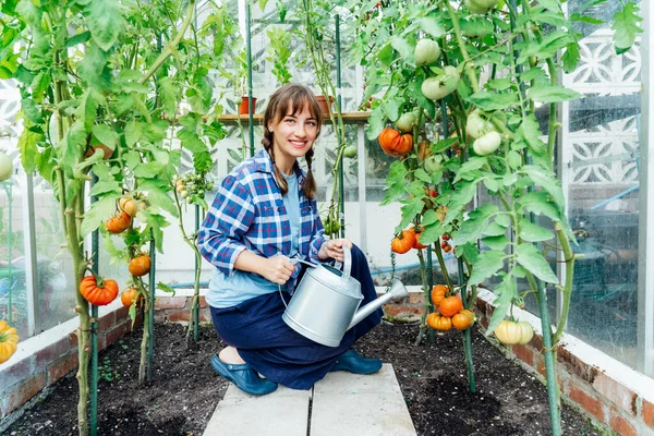 Potret Wanita Muda Tersenyum Menyiram Tomat Rumah Hijau Menggunakan Kaleng — Stok Foto