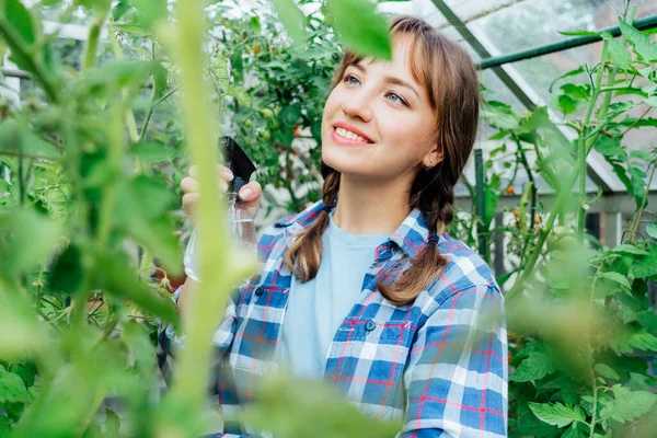 stock image Young woman spraying nature fertilizer on tomato plants in the greenhouse. Organic food growing and gardening. Eco-friendly care of vegetables. Urban farming lifestyle. food self-sufficiency.