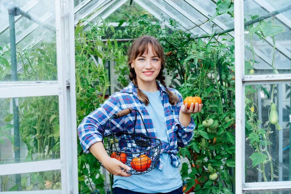 Wanita Muda Tersenyum Memegang Tomat Daging Sapi Merah Matang Hanya — Stok Foto