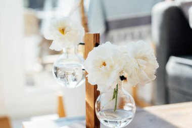 Beyaz gül çiçeklerini küçük şeffaf cam vazolara sarkıt sehpanın üzerinde, ev arka planında güneşli bir sehpanın üzerinde. Test tüpleri şeklinde modern ev dekorasyonu. Seçici odak