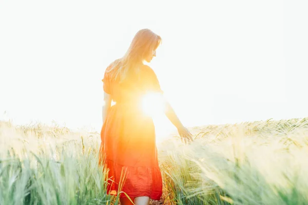 赤いドレスを着たバックビューの女性は 太陽の光で夕日の光の中で小麦畑で歩き リラックスしています 精神的な健康のための簡単な喜び 自然のリラックス ソフト選択的フォーカス スペースのコピー — ストック写真