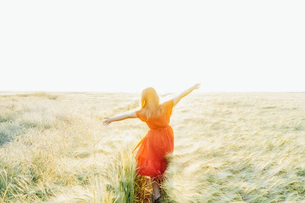 夕日の小麦畑でリラックスして腕を上げた幸せな女性をバックビューします 自由を祝う 肯定的な感情の生活 心の平和を感じる 精神衛生の練習 自然のリラックス 選択的焦点 — ストック写真