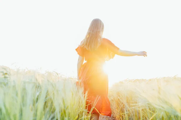 赤いドレスを着たバックビューの女性は 太陽の光で夕日の光の中で小麦畑で歩き リラックスしています 精神的な健康のための簡単な喜び 自然のリラックス ソフト選択的フォーカス スペースのコピー — ストック写真