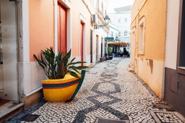 Portekiz 'in dar sokaklarında renkli evler, yolda kaldırım taşları ve yeşil bitkilerle süslenmiş saksılar var. Portekiz 'de seyahat et. Şehir dışından. Seçici odak