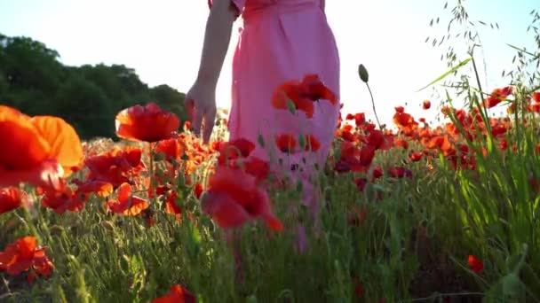 Nenhuma Cara Jovem Mulher Vestido Rosa Tocando Flores Enquanto Caminhando — Vídeo de Stock