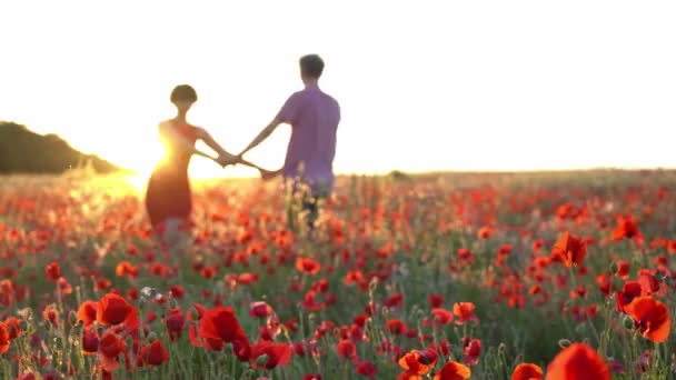 편안한 초원에 흐르는 여자와 남성과 빨간색 간단한 즐거움 자연에서 로맨틱 — 비디오