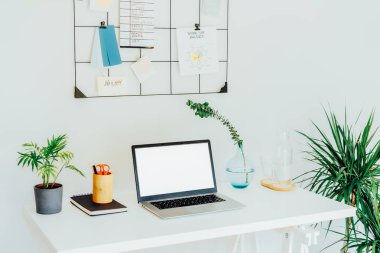 Modern Çağdaş iş yeri - dizüstü bilgisayarlı beyaz masa boş ekran, şebeke ruh hali tahtası iğnelenmiş notlar ve planlar, yeşil santraller, ofis içi çalışma odasındaki ofis malzemeleri.