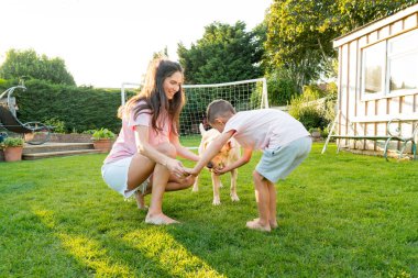 Neşeli anne ve oğul köpekle oynuyor, top oynuyor ve birlikte eğleniyorlar. Mutlu bir aile evcil hayvanla tenis topuyla oynuyor. Güneşli yaz gününde Arka Bahçe Çimlerinde Eğlence Oyunları. Etkin çocukluk