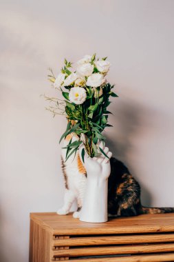 İnsan eli şeklinde seramik vazoda Eustoma çiçekleri buketi ve ahşap konsolun arkasında saklanan çok renkli kedi evcil hayvanı. Moda iç dekorasyon detayları. Seçici odak