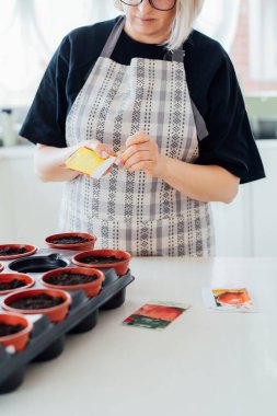 Yüzü Olmayan kadın ev mutfağındaki çömleklere tohum ekiyor. Yeni mutfak bahçesi sezonu için hazırlanıyorum. Tohum ekiyorum. Kentsel tarım yaşam tarzı. Yeşil evde organik sebzeler yetiştiriyor. Yumuşak seçici odak