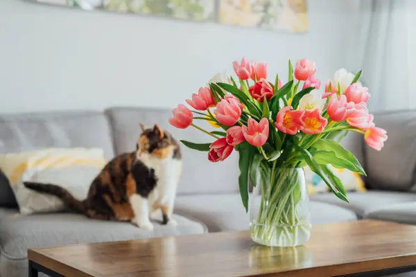 Vase of fresh tulips on the coffee table with blurred background of modern cozy light living room with gray couch sofa and relaxing cat pet. Open space home interior design. Cozy home. Copy space.