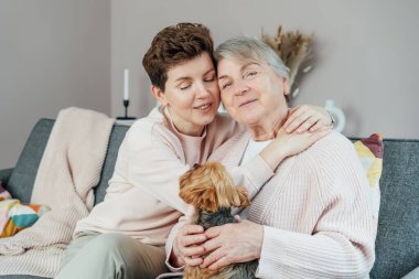 70 'lerin mutlu anne portresi, yetişkin tarafsız kız ve Yorkshire Teriyerlerinin köpek kucaklaması. Mutlu bir aile birlikte oturma odasında hafta sonunun tadını çıkarıyor. Emeklilik evinde kaliteli zaman geçirmek.