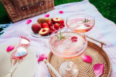 Pembe içecekler, buzlu kokteyl, ahududu, biberiye. İki bardak martini, şampanya, elma şarabı, battaniyede meyve tabağı, piknik sepeti, doğada sıcak yaz pikniği. Seçici odak.