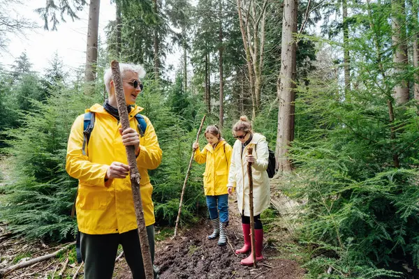 森でバックパックを歩く友人のグループ 冒険のライフスタイルでトレッキング旅行 旅行で休暇中の自然ハイキング ハイキング 友情のコンセプト アウトドア活動 ロイヤリティフリーのストック写真