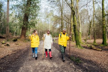 Bir grup arkadaş ormanda sırt çantalarıyla dolaşıyorlar. Macera dolu bir hayat tarzı, tatilde doğa yürüyüşü seyahati. Turizm, yürüyüş ve arkadaşlık konsepti. Açık hava aktiviteleri