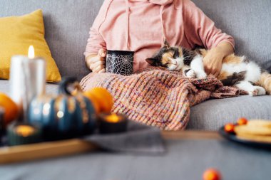 Close up woman in plaid holding cup of tea or coffee, watching movie, TV with multicolored cat on the sofa at home, decorated for fall holidays. Cozy and comfortable autumn concept. Selective focus.