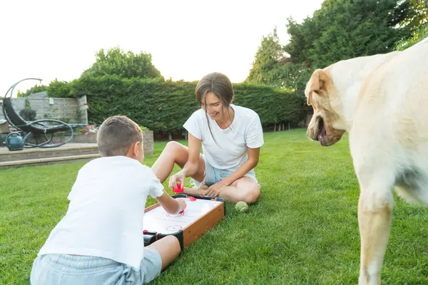 stock image Joyful little boy with mother are playing portable air hockey in garden while dog pet waiting for throwing ball. Fun Playing Games in Backyard Lawn on Summer Day. Happy family time with pet together.