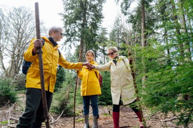 Ormanda yürüyüşü tamamladıktan sonra mutlu arkadaşlar beşlik çakıyor. Takım çalışması. Macera dolu bir hayat tarzı, tatilde doğa yürüyüşü ve seyahatler. Turizm, yürüyüş ve arkadaşlık konsepti.