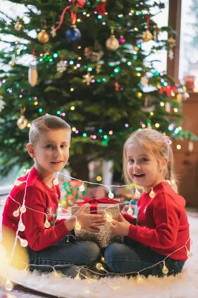 Evde Noel ağacının altında oturan iki neşeli süveter giymiş gülen çocuk. Duygusal kız ve erkek kardeş Noel hediyelerini açmak için heyecanlı hissediyorlar, eğleniyorlar, çocukluk mucizesi konsepti.