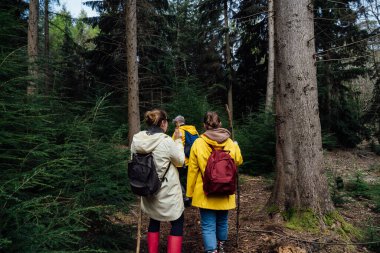 Arkadaki arkadaşlar ormanda sırt çantalarıyla dolaşıyorlar. Macera dolu bir hayat tarzı, tatilde doğa yürüyüşü seyahati. Turizm, yürüyüş ve arkadaşlık konsepti. Açık hava aktiviteleri