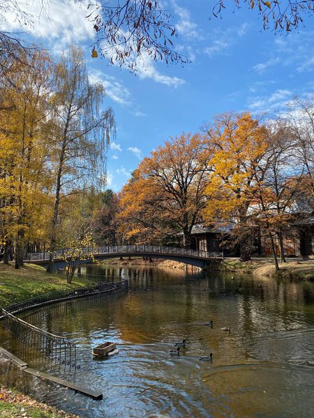 Красивый пейзаж в Карпатах