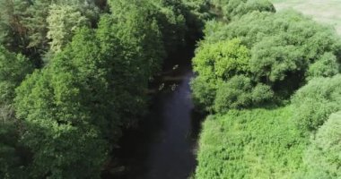 Hava manzarası, bir grup turist yüksek bir yerden kano manzarası, orman bölgesinde bir nehirde yüzen kaşifler, yeşil gezegen ekolojisi..