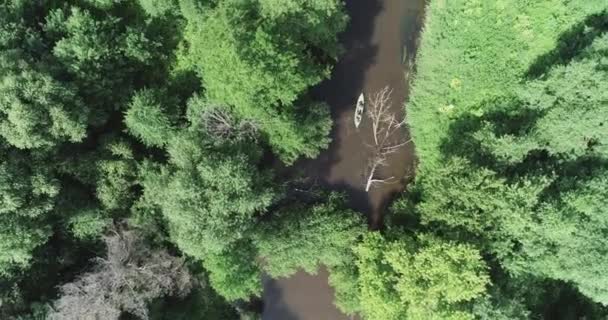 在河上拉风 从高处俯瞰独木舟 探险队在森林地区的河流上漂浮 — 图库视频影像