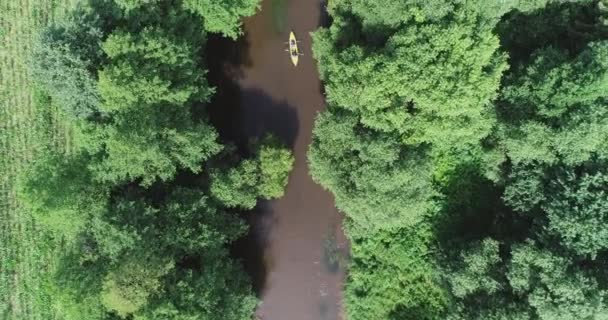 Skupina Turistů Kajak Pohled Výšky Průzkumníci Plovoucí Řece Lesní Oblasti — Stock video