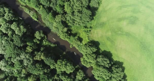 Grön Planet Kajakutsikt Från Höjd Upptäcktsresande Flyter Flod Ett Skogsområde — Stockvideo