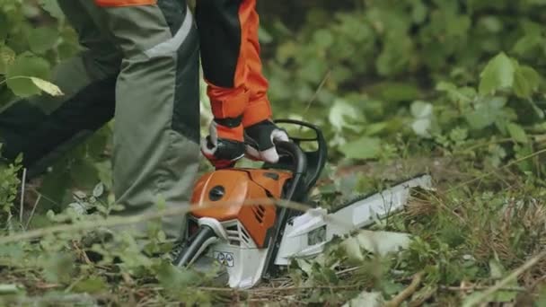 Femme Bûcheronne Dans Forêt Spécialiste Des Équipements Protection Démarre Une — Video