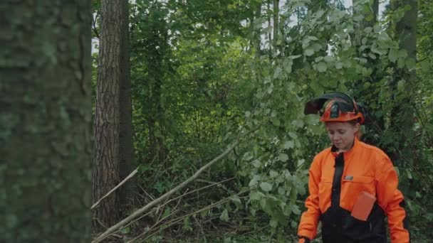 年轻的女伐木工人站在一棵松树旁 她是一名身着防护服的年轻专业妇女 她从事砍伐森林的工作 动作缓慢 速度为4K — 图库视频影像